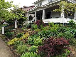 Tim Bares All Finegardening Front Yard Landscaping Landscaping Tips Landscaping With Japanese Maple