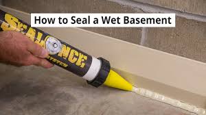 This page briefly describes moisture sources, moisture movement mechanisms and typical basement moisture problems. How To Seal A Wet Basement Water Tight Diy Basement Waterproofing Youtube