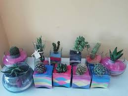 Camas para terrarios todos los departamentos belleza belleza de lujo alexa skills auto bebé dispositivos de amazon electrónicos películas y series de tv prime video tienda kindle ropa, zapatos y. Art House Terrarios Con Arenas De Colores Visitanos En Facebook