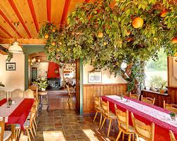 Geniet van uw vakantie op onze boerderij en doe nieuwe energie op in de eifel! Landgasthaus Mit Pension Biergarten In Eichenbach In Der Eifel