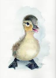 Original Watercolor Duck Duckling Wall Art Nursery Decor Etsy In 2020 Baby Animal Art Woodland Animal Wall Art Original Watercolor Art