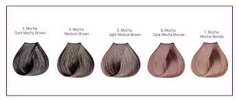 Mocha Hair Color Chart Highlights Ideas With Pictures