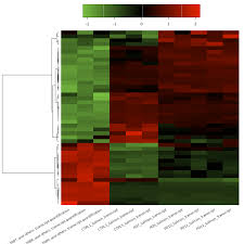 Image result for bioinformatics heatmap