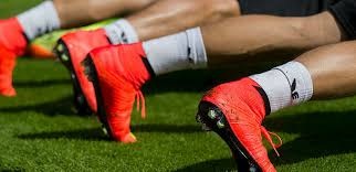 Fc köln news und infos. 1 Fc Koln Home