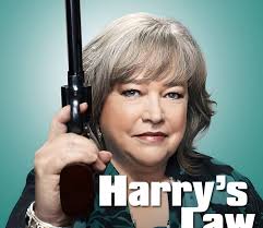 Harry's Law Summary, Trailer, Season List, Cast, Where to Watch and More