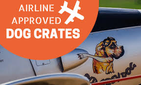 Travelling with your dog or cat this summer? 3 Best Airline Approved Dog Crates For When Fido Flies