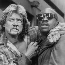 Rod passed peacefully in his sleep last night, piper's agent jay schacter told variety. Rowdy Roddy Piper An Appreciation Of They Live S Iconic Fight Scene Polygon