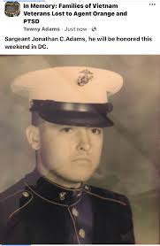 IN MEMORY HONOR ROLL