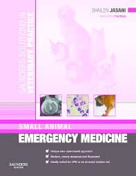 Pdf Saunders Solutions In Veterinary Practice Small Animal