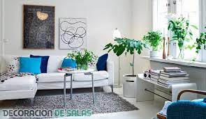 Existen diferentes tamaños de plantas que se pueden adaptar en un rincón o sobre la mesa de centro de su sala. Plantas Ornamentales Para Decoracion Decoracion De Salas