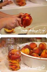 Jun 15, 2020 · when peaches are cool enough to handle, peel peaches. Canning Peaches Nectarines Plums And A Canned Fruit Cobbler Recipe My Crazy Life As A Farmers Wife
