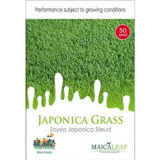 Rumput taman malang saya adalah petani dan penjual rumput gajah mini. Jual Bibit Rumput Jepang