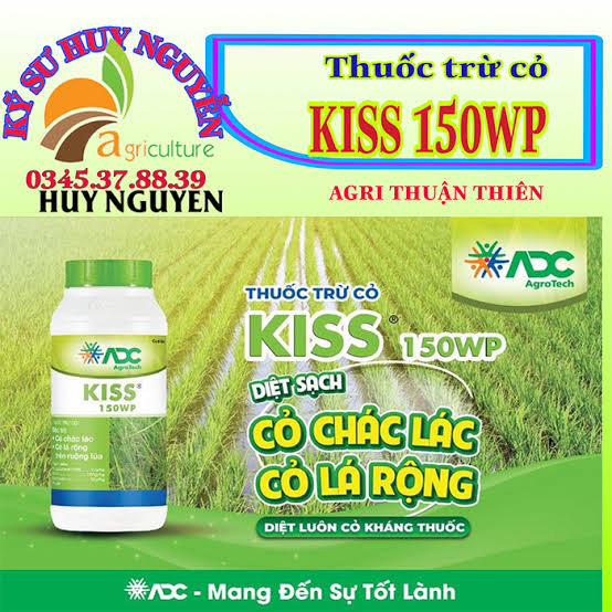 Kiss 150WP