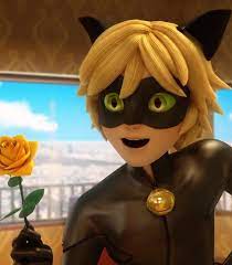 Cat Noir Miraculous World New York United Heroez Kara Kedi Kedi Kedi Ci K