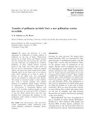 Image result for Disa satyriopsis