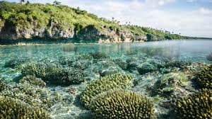 Climate Change And Covid 19 Un Urges Nations To Recover Better United Nations