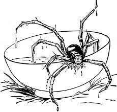 But these don't hurt, let's color them and make these drawings beautiful! Free Printable Spider Coloring Pages For Kids Spider Coloring Page Kids Printable Coloring Pages Coloring Pages