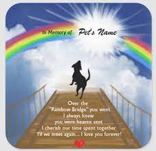 Aug 02, 2016 · for a printable version of the rainbow bridge poem click here. The Rainbow Bridge Poem Petrefine
