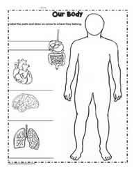 Worksheets > science > grade 1 > our bodies > parts of the body. Human Body Worksheets