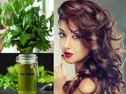 وصفات منزلية لجمالك Homemade Beauty Recipes غسول البقدونس لنمو الشعر و حمايته من التساقط