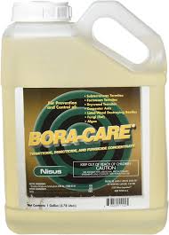 The first thing that you need to do when approaching a termite problem is to do a termite inspection of your property. Amazon Com Bora Care 1 Jug Natural Borate Termite Control Ni1001 By Nissus 1 Gallon Pet Supplies