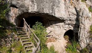 Ancient child from Siberia was Neanderthal and Denisovan hybrid | Natural  History Museum