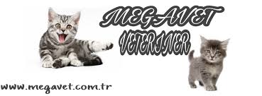 Maltepe Veteriner Acil 7 24 Acik 0216 305 3508