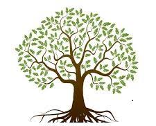 Family Tree Maker Help | Terrell TX
