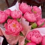 PIVOIIIINES 🩷🩷🩷, Arrivage de ces merveilles demain matin🥳, #pivoine  #peonies #fleursfrancaises #fleuristenantes #fleurs