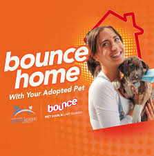 The indy mega adoption event runs from 1 to 6 p.m. Bounce Adoption Events Events Animal League