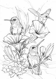 Here at trailofcolors.com we have a lot of different themed coloring pages for adults and kids. Hung Birds Coloring Page Bird Coloring Pages Bird Drawings Coloring Pages