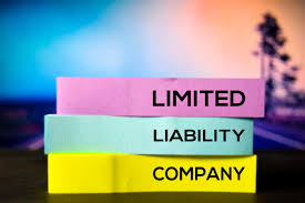 Limited Liability Company Llc Definition