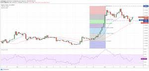 You can buy bitcoin sv with usd, krw and rub fiat currencies. Coinbase Still Not Giving Customers Bitcoin Sv Report Coinbase Bitcoin Sv