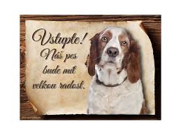 Image result for velššpringršpaněl