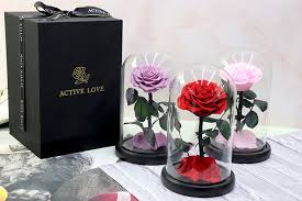 Visit the rector's palace, a stunningly restored gothic building. Eternal Rose Beauty And The Beast Galaxy Rose Dry Flower Teak On Head Glass Dome Wooden Base For Bedroom Decor Mothers Day Gift Artificial Dried Flowers Aliexpress