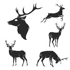 Black And White Deer Vector Set Of Black Forest Deer Silhouettes Suitable For Logo Emblem Deer Silhouette Deer Illustration Forest Illustration