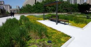 A Gorgeous Green Wall At Reykjavik City Hall Green Roof Building Green Roof Green Roof Benefits