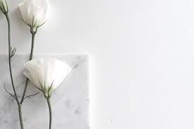 Seapunk is a subculture that originated on tumblr in 2011. Whynot Idontcare Tumblr Blog With Posts Tumbral Com