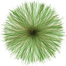 Tree Plan E 13 Png 900 900 Pflanzen Architektur Natur