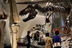 Series using computer animation technology to simulate dinosaurs and their world. Think Dinosaurs Were Just Giant Lizards Think Again Nikkei Asia