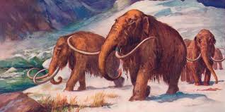 Ice Age - Definition & Timeline | HISTORY