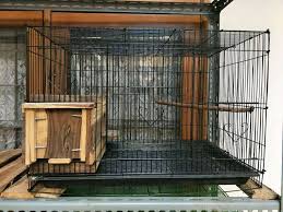 Scopri ricette, idee per la casa, consigli di stile e altre idee da provare. Kandang Kotak Ternak Lovebird Hewan Peliharaan 539910452