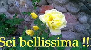 Auguri Di Buon Compleanno A Mia Figlia Con Celine Dion La Forza Dell Amore I Figli Danno Un Sen Buon Compleanno Figlia Compleanno Figli Auguri Di Compleanno