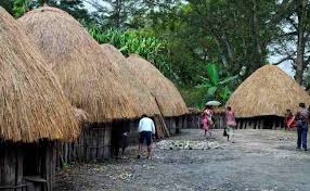 Selain bahan rumah dari kayu dan atap jerami maka rumah honai cenderung rendah dengan. Rumah Adat Papua Gambar Penjelasan Mengenai Keunikannya