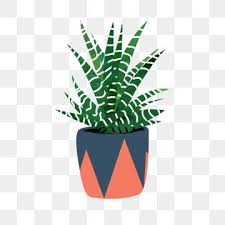Potted Plant Green Plant Flower Pot Png And Psd Planting Flowers Flower Pots Plants
