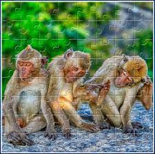 Whether the skill level is as a beginner or something more advanced, they're an ideal way to pass the time when you have nothing else to do like waiting in an airport, sitting in your car or as a means to. Free Animal Jigsaw Puzzles Play Our Online Jigsaws And Have Fun