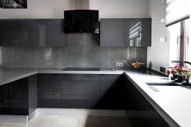 26 creative open kitchen cupboards. European Style Kitchen Cabinets Modern Kitchen Chicago By E D Remodeling And Snow Plowing Inc Houzz