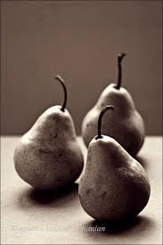 Black And White Still Life Photography Fruit Black And White Photo Of A Pear Google Search Still Life Images Photography Basics Still Life Photography