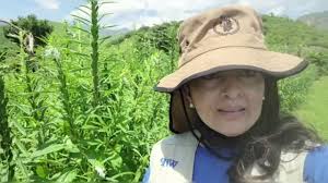 @WFP_es's video Tweet