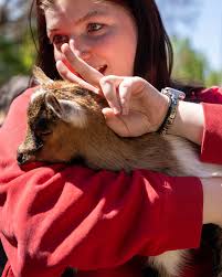 From physical therapy to psychology many of the graduate programs in  Hillsboro are quickly approaching finals season. To hopefully provide some  extra support, our @pacific.professional.students and @pacificuniversityscc  along with our Student and